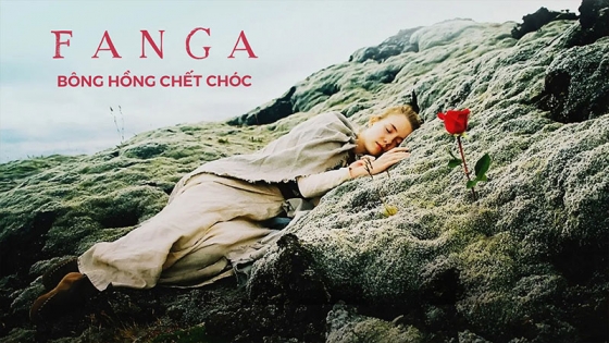 B&ocirc;ng Hồng Chết Ch&oacute;c