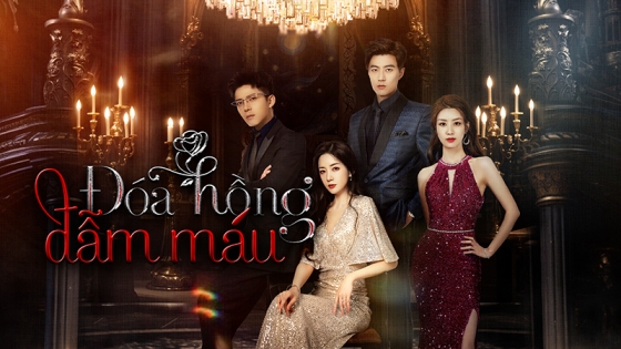 Đóa Hồng Đẫm Máu