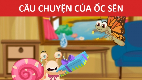 Câu Chuyện Của Ốc Sên