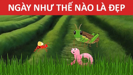 Ngày Như Thế Nào Là Đẹp
