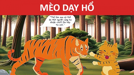Mèo Dạy Hổ
