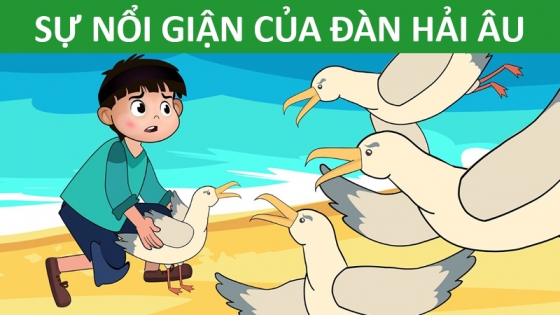 Sự Nổi Giận Của Đàn Hải Âu
