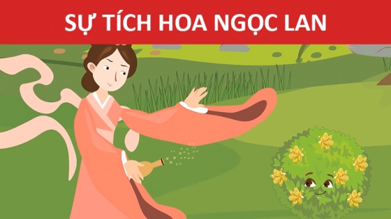 Sự Tích Hoa Ngọc Lan