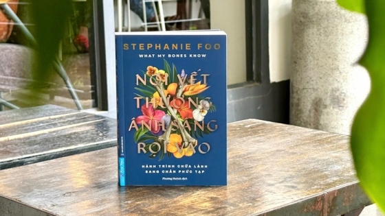 Giới Thiệu Sách - Nơi Vết Thương Ánh Sáng Rọi Vào