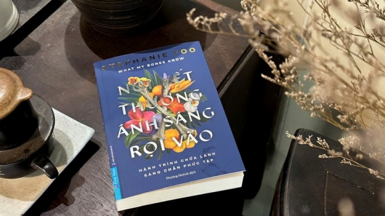 Tóm Tắt Sách - Nơi Vết Thương Ánh Sáng Rọi Vào